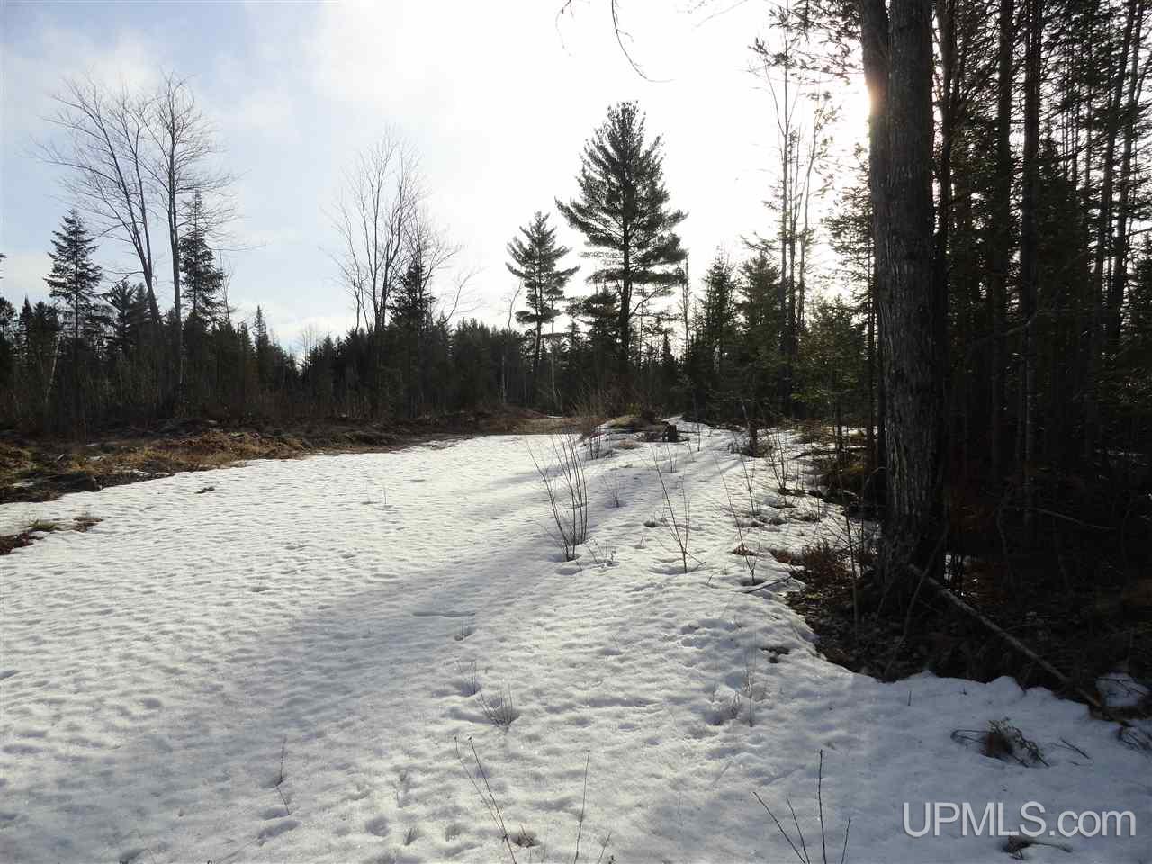 116-acres 116-acres Co Road Negaunee, MI 49866 - Photo 33 of 37