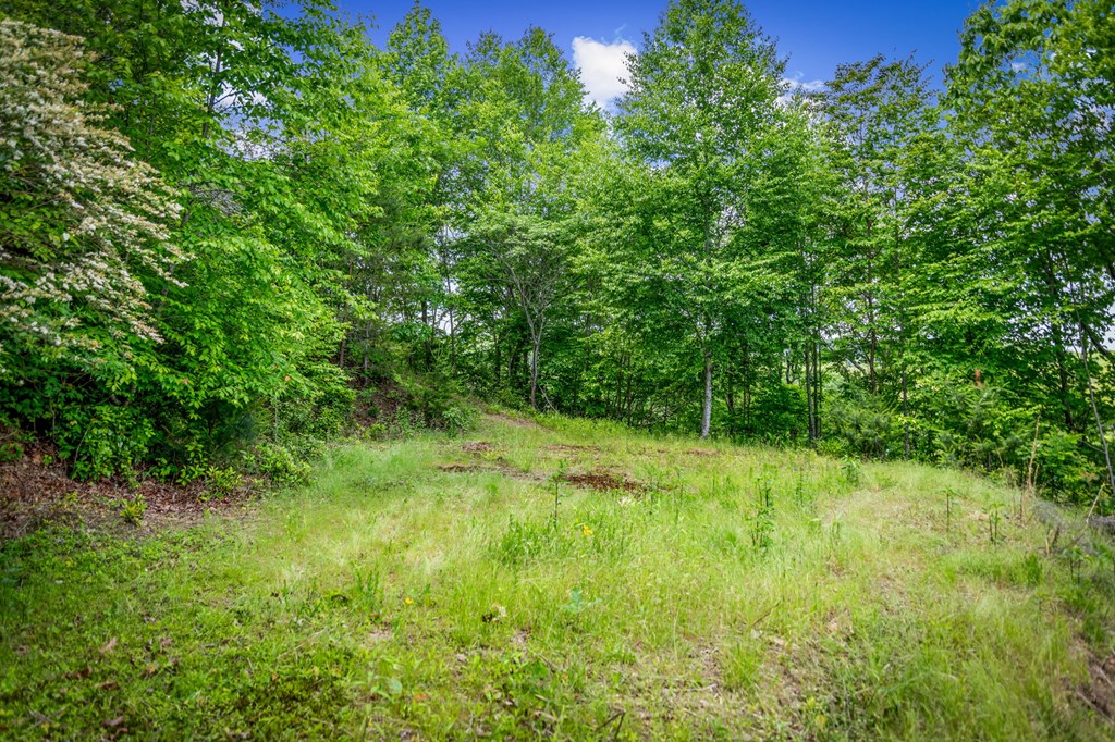 379 Dream Catcher Blue Ridge Blue Ridge, GA 30513 - Photo 23 of 28 a view of yard with green space