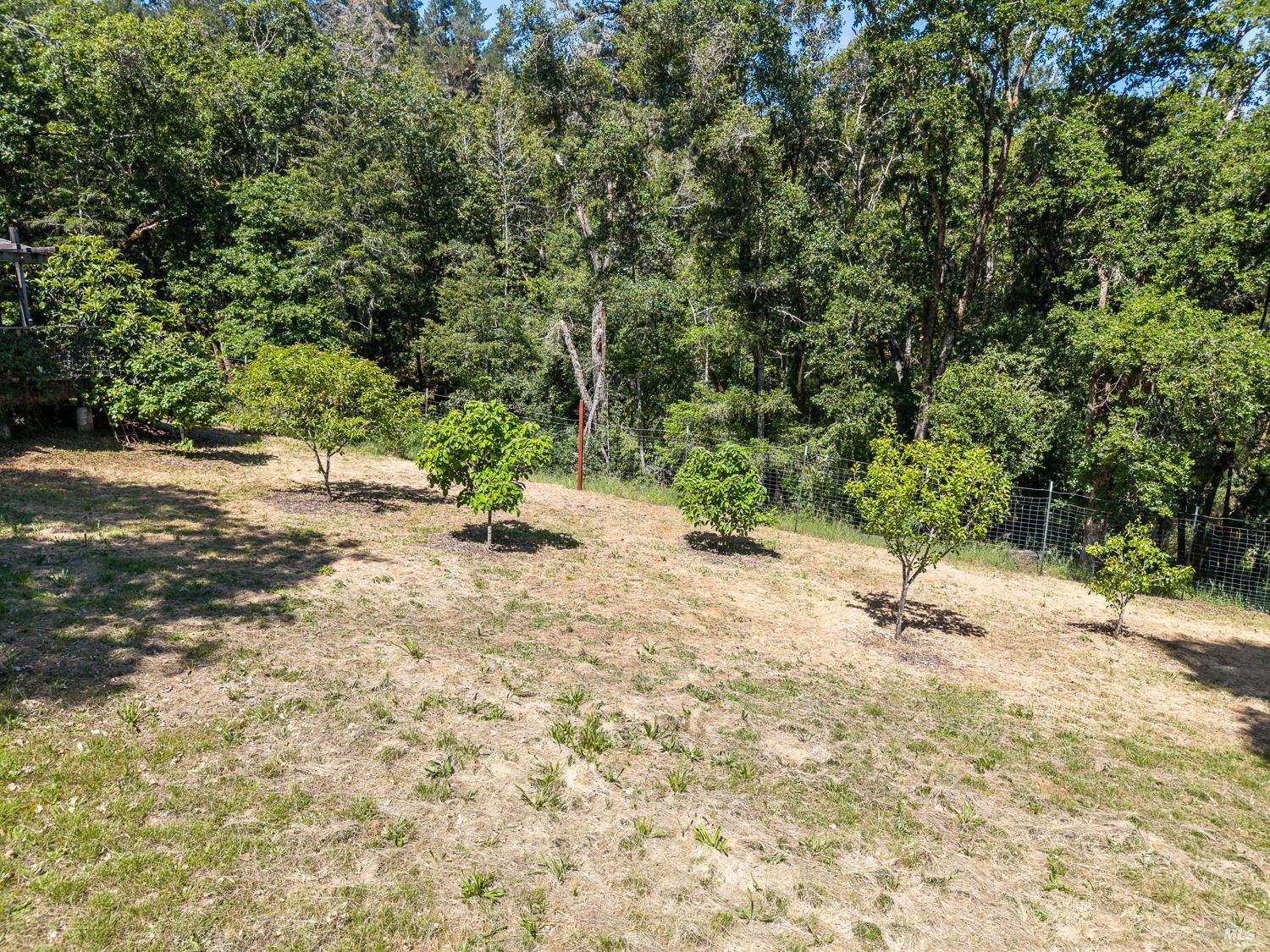 13270 Ornbaun Road Boonville, CA 95415 - Photo 27 of 40