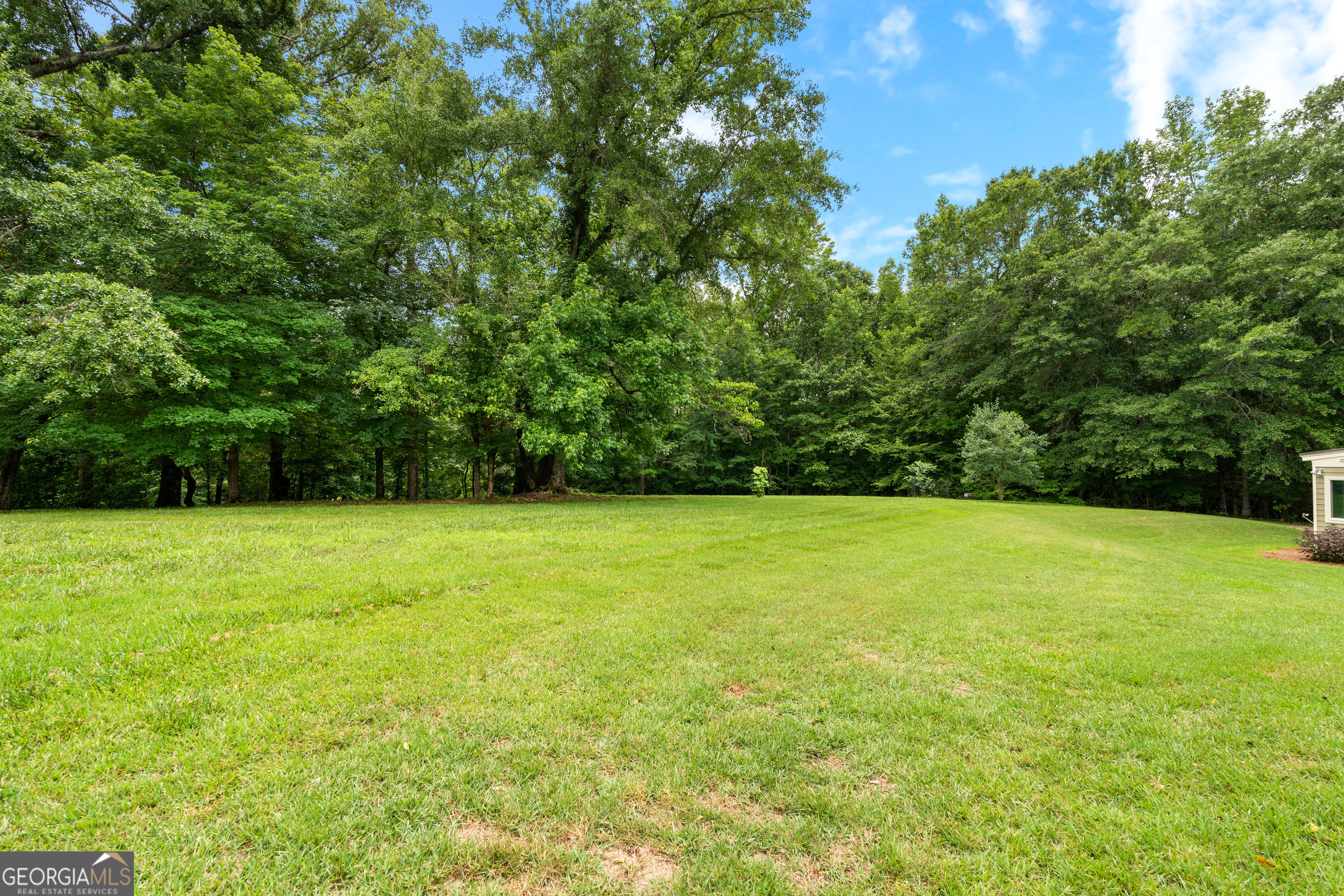 413 Morgan Mill Road Brooks, GA 30205 - Photo 166 of 172