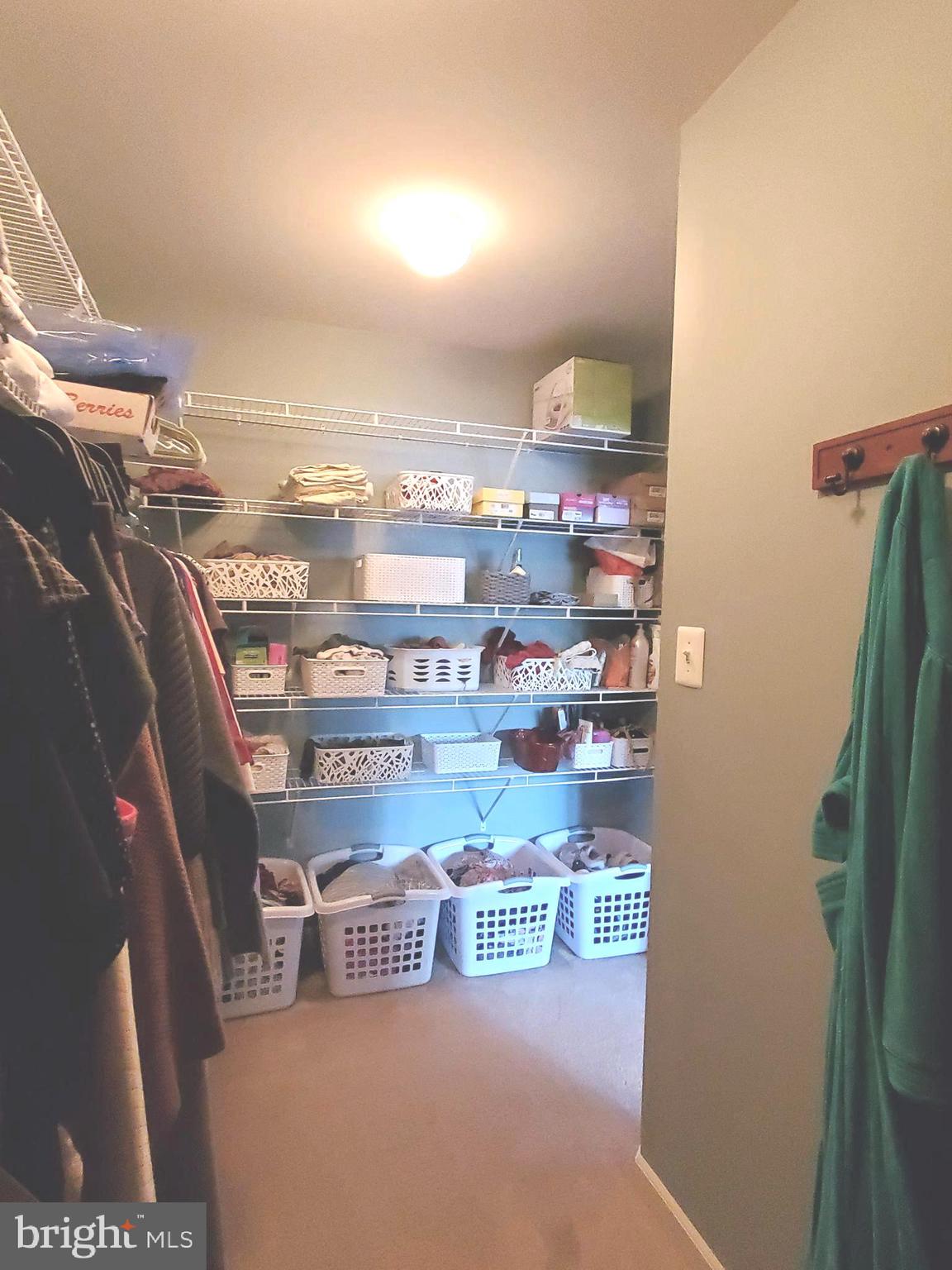 113 Riparian Lane Ranson, WV 25438 - Photo 23 of 31 Primary closet with storage solutions