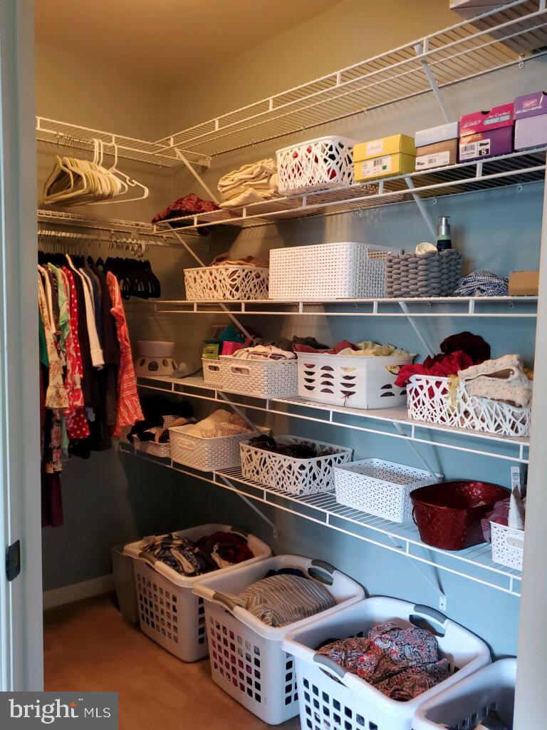 113 Riparian Lane Ranson, WV 25438 - Photo 24 of 31 Primary closet with storage solutions