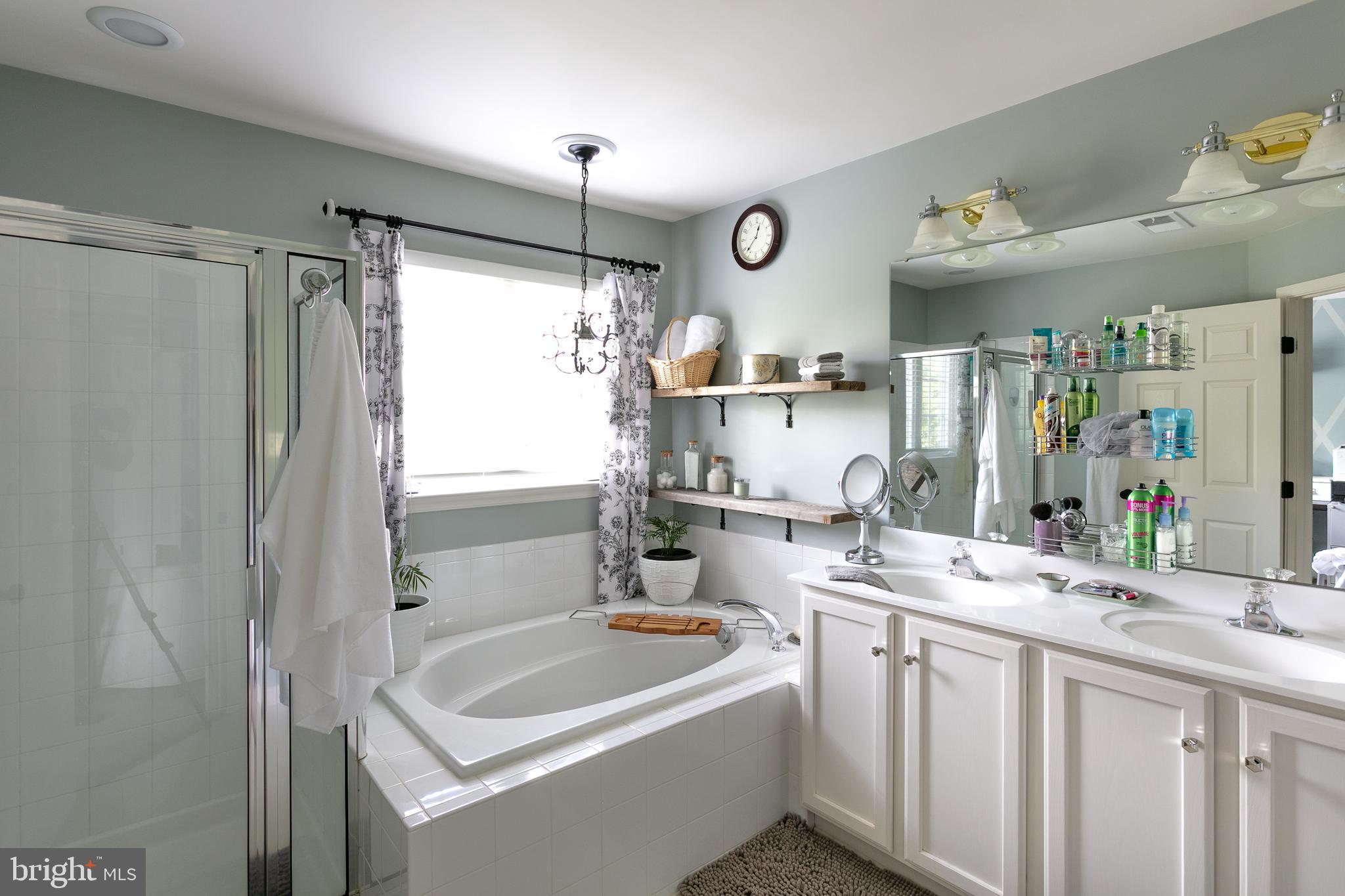 113 Riparian Lane Ranson, WV 25438 - Photo 26 of 31 Separate tub and shower