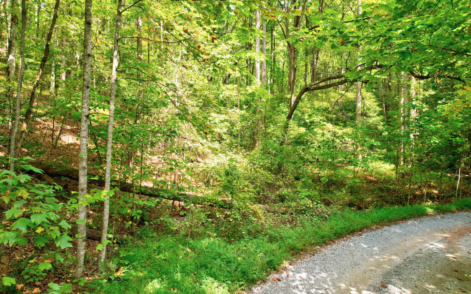 20 Big Ben Road Ellijay, GA 30540 - Photo 1 of 14 Main View