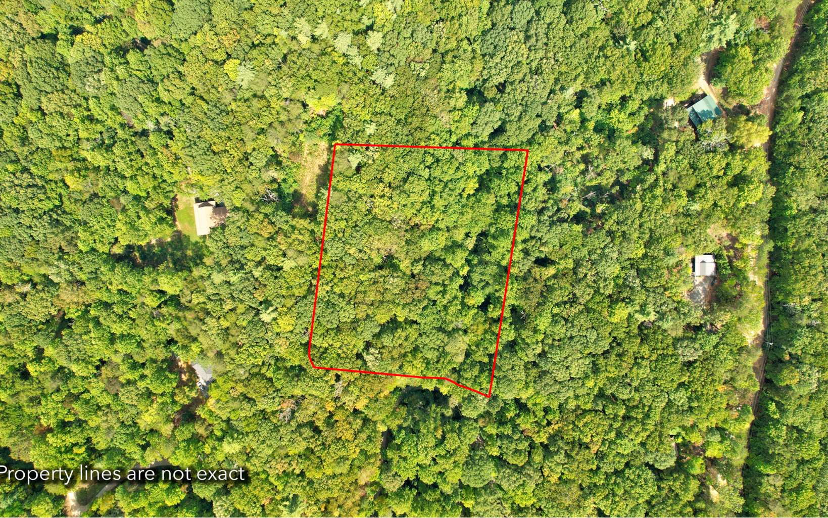 20 Big Ben Road Ellijay, GA 30540 - Photo 12 of 14 Additional View