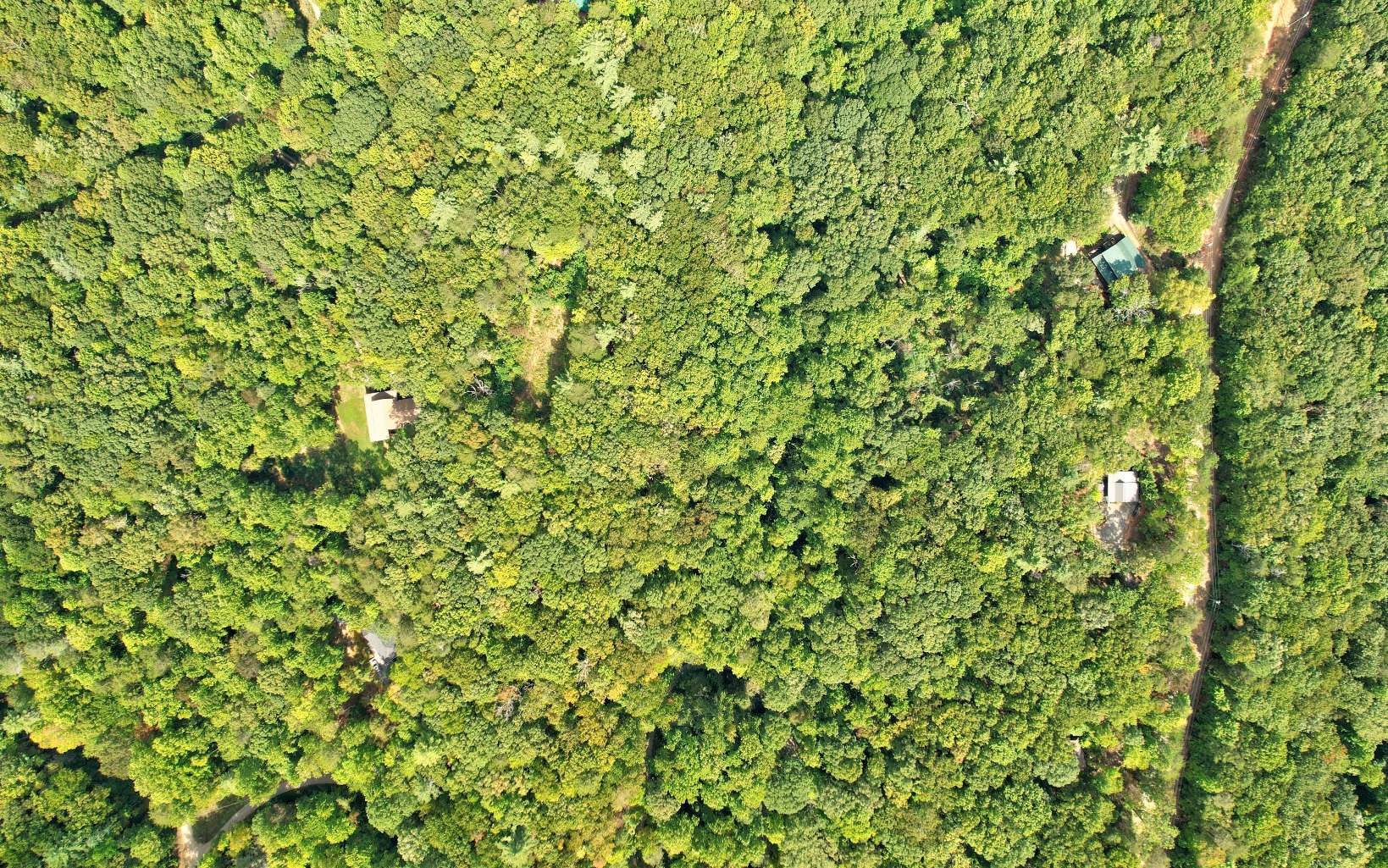 20 Big Ben Road Ellijay, GA 30540 - Photo 13 of 14 Additional View