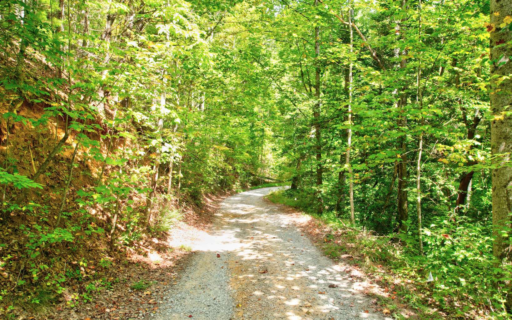 20 Big Ben Road Ellijay, GA 30540 - Photo 2 of 14 Additional View