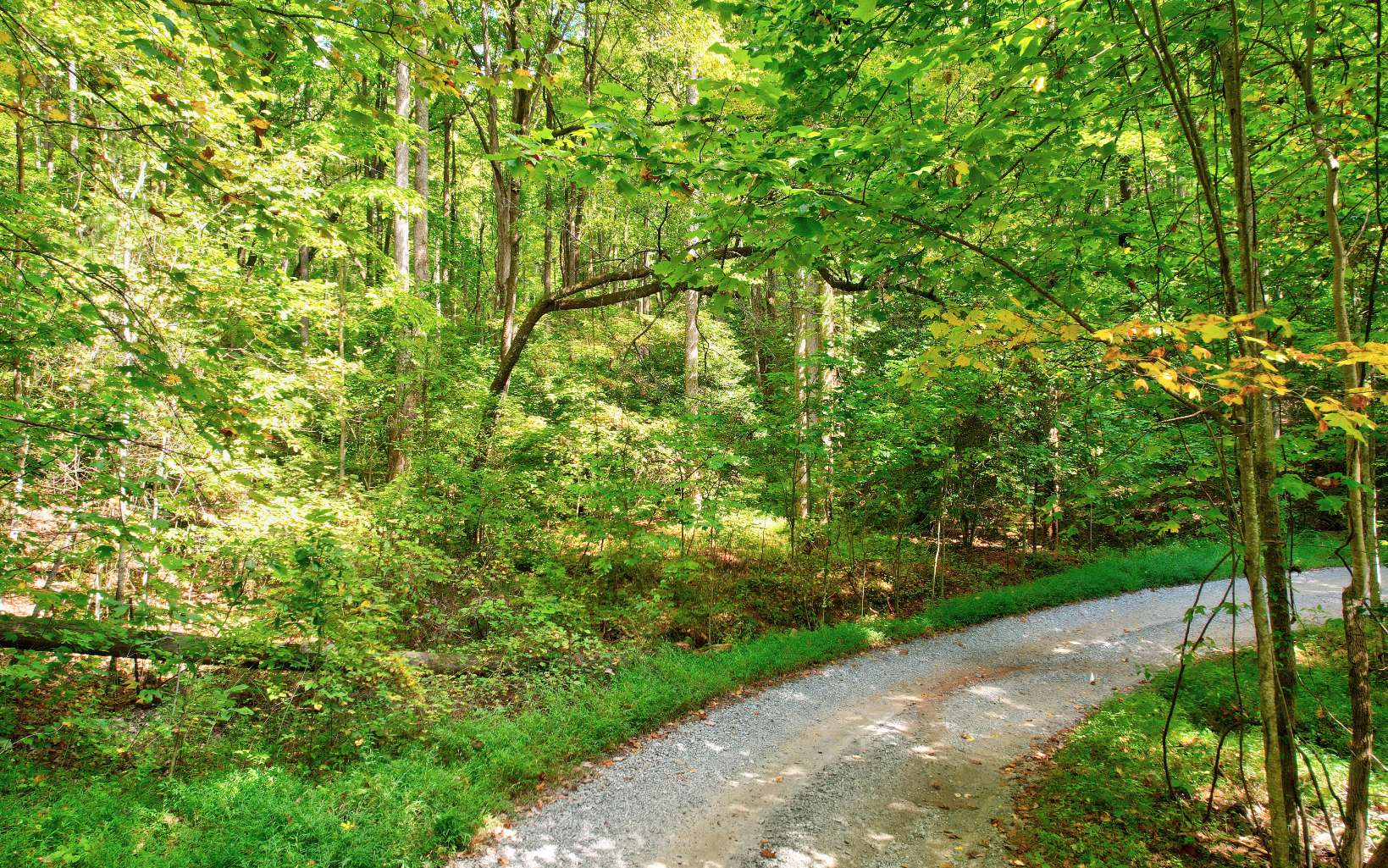 20 Big Ben Road Ellijay, GA 30540 - Photo 3 of 14 Additional View