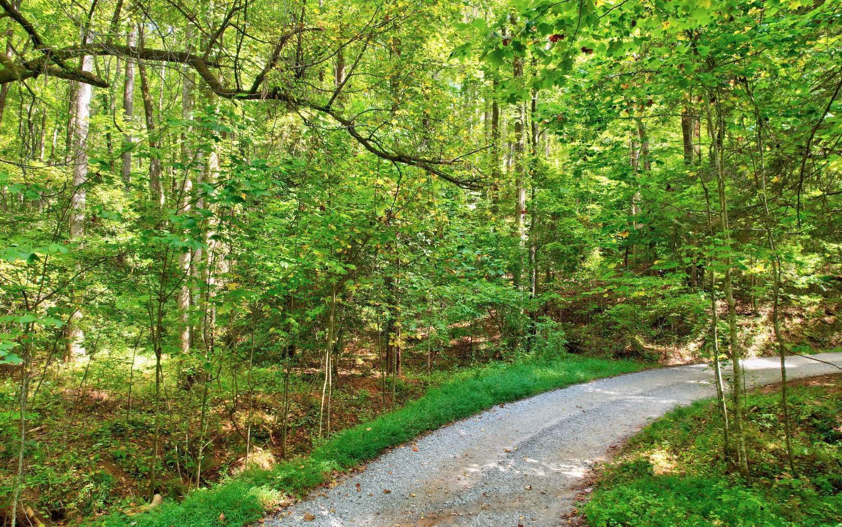 20 Big Ben Road Ellijay, GA 30540 - Photo 4 of 14 Additional View