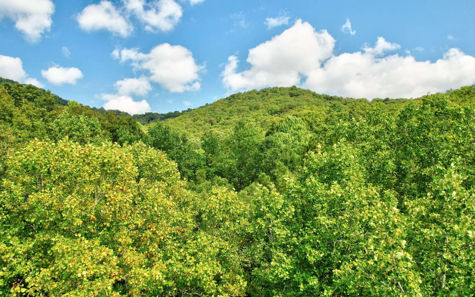 20 Big Ben Road Ellijay, GA 30540 - Photo 5 of 14 Additional View