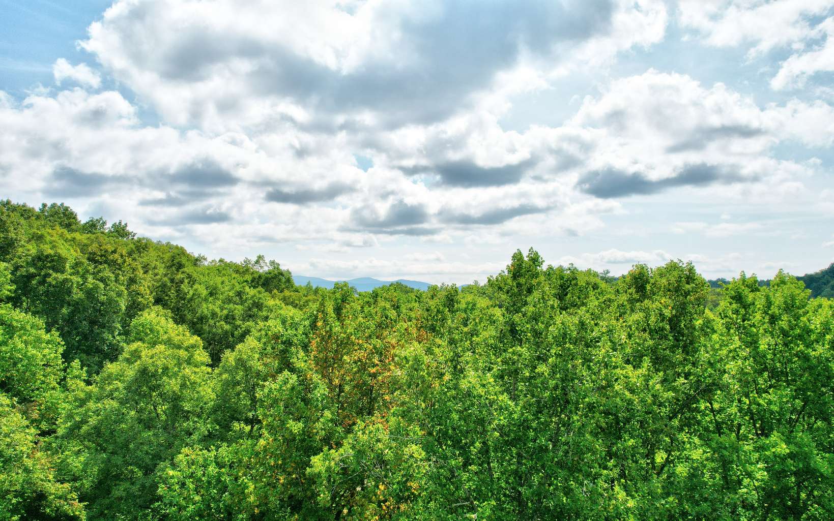 20 Big Ben Road Ellijay, GA 30540 - Photo 6 of 14 Additional View