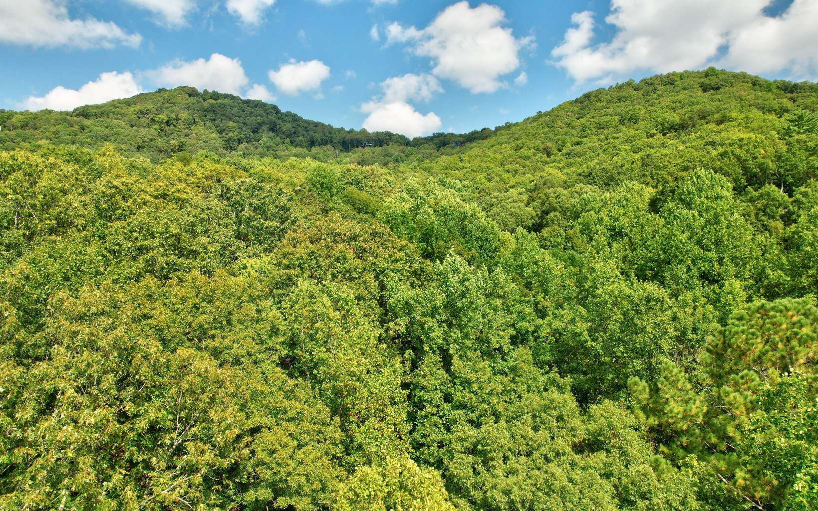 20 Big Ben Road Ellijay, GA 30540 - Photo 7 of 14 Additional View