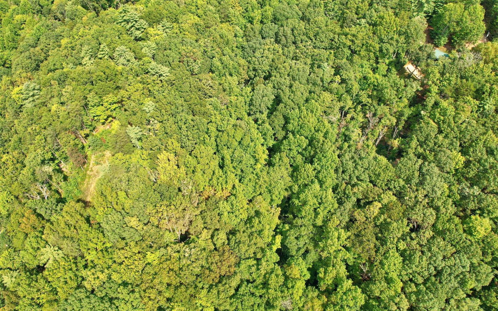 20 Big Ben Road Ellijay, GA 30540 - Photo 9 of 14 Additional View
