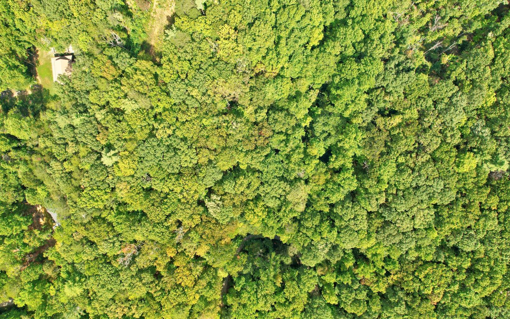 20 Big Ben Road Ellijay, GA 30540 - Photo 10 of 14 Additional View