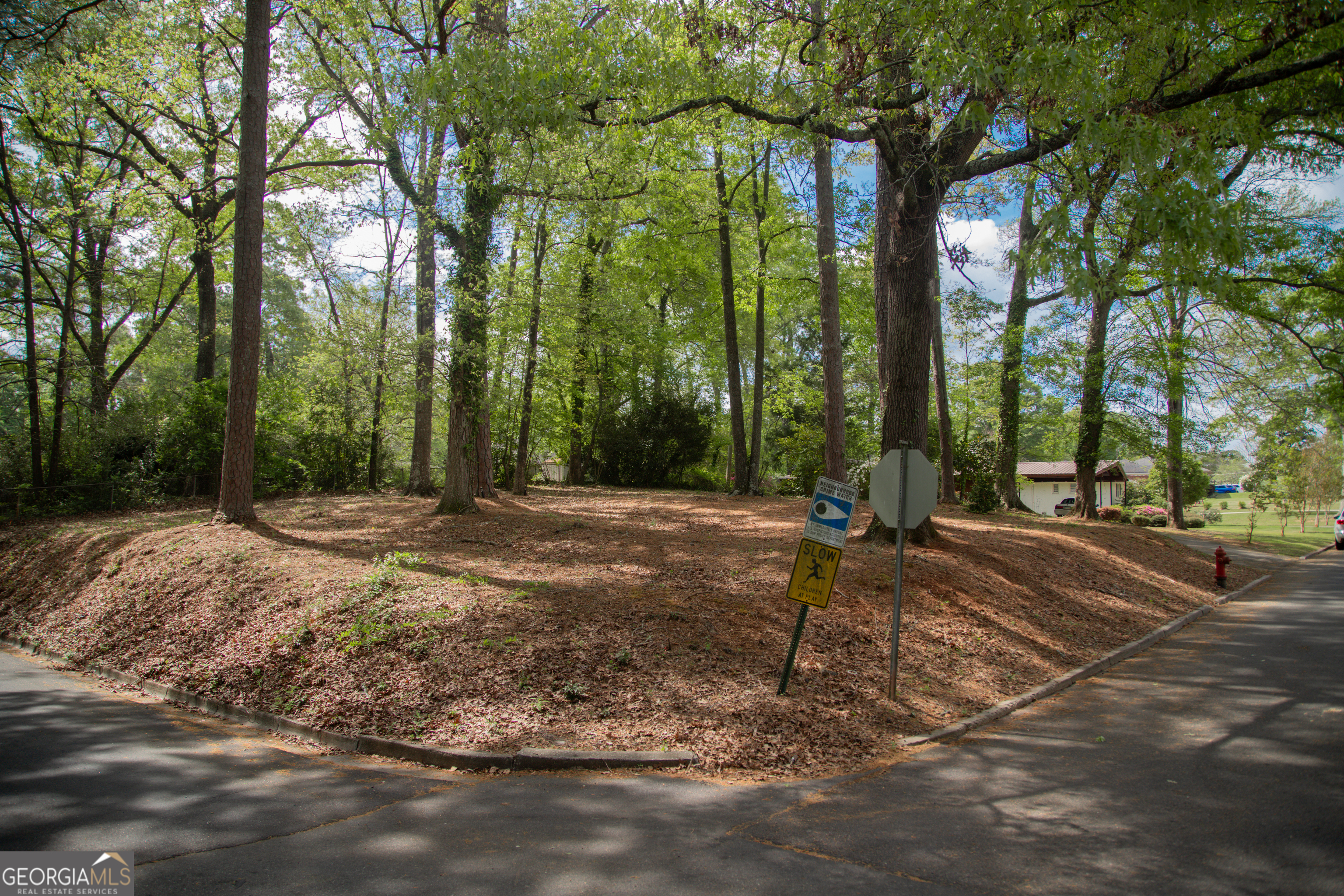 703 Greenwood Road Thomaston, GA 30286 - Photo 4 of 62