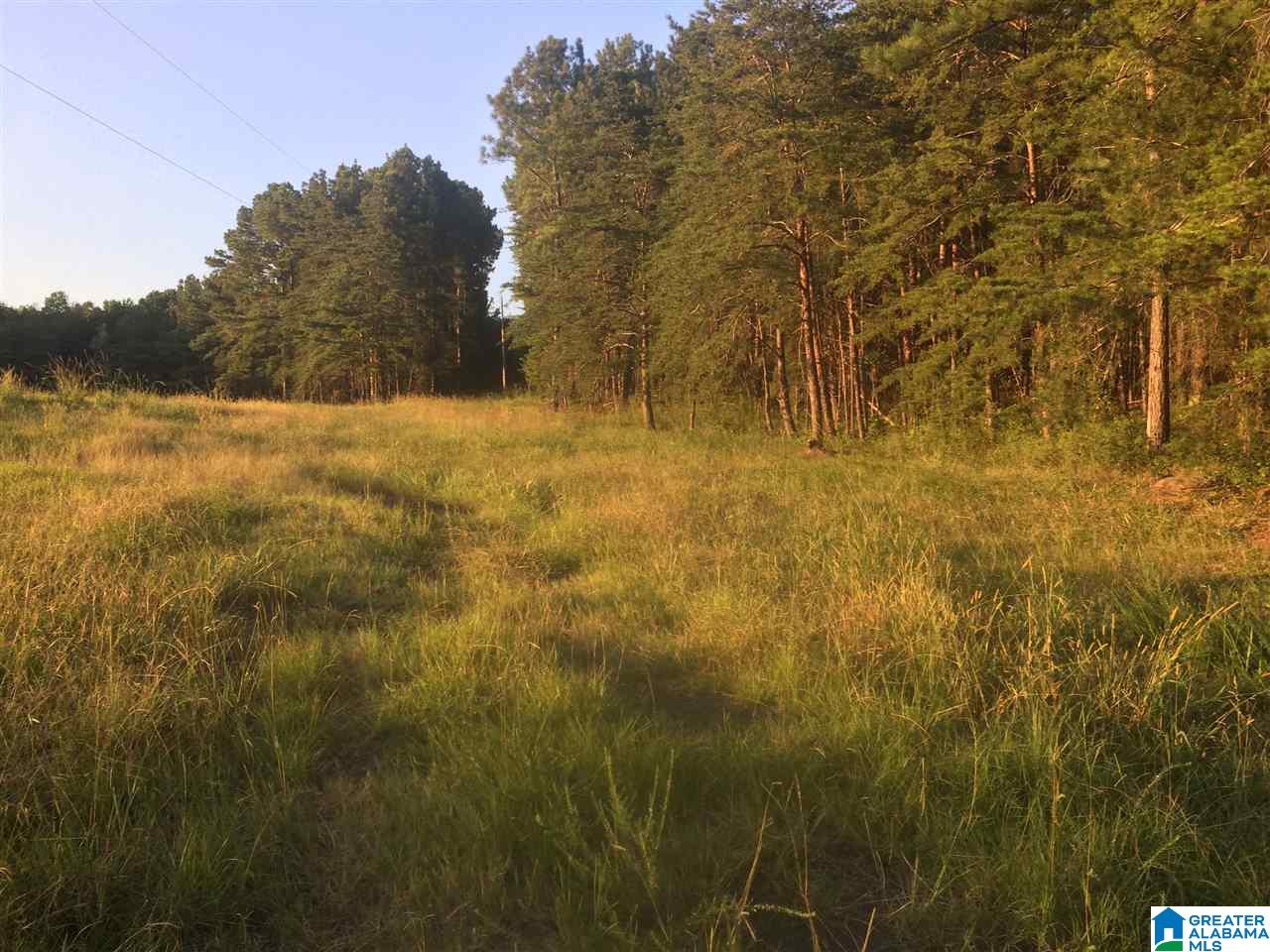 17999 Groundhog Road, Unit 40 Adger, AL 35006 - Photo 5 of 10