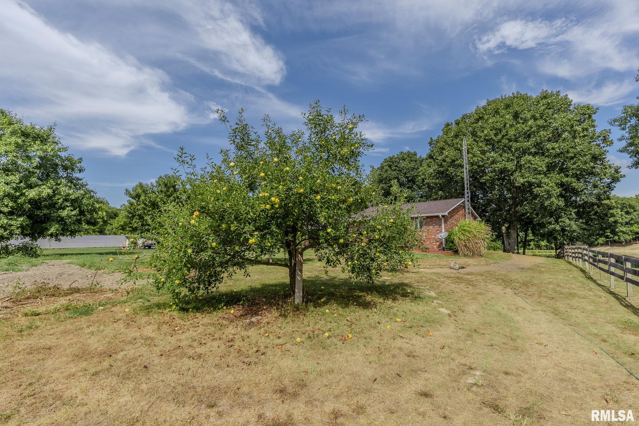 10602 Blooming Grove Road Palmyra, IL 62674 - Photo 68 of 72 Gallery Image 68