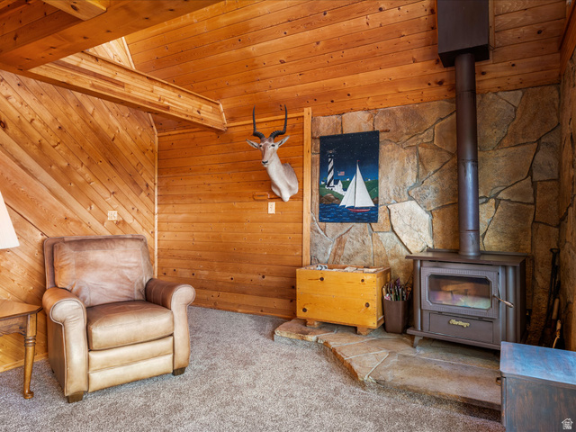 371 Lewis Loop, Unit 29 Fish Haven, ID 83287 - Photo 19 of 40 Wood-paneled room with a stone accent wall, featuring a wood-burning stove on a flagstone hearth