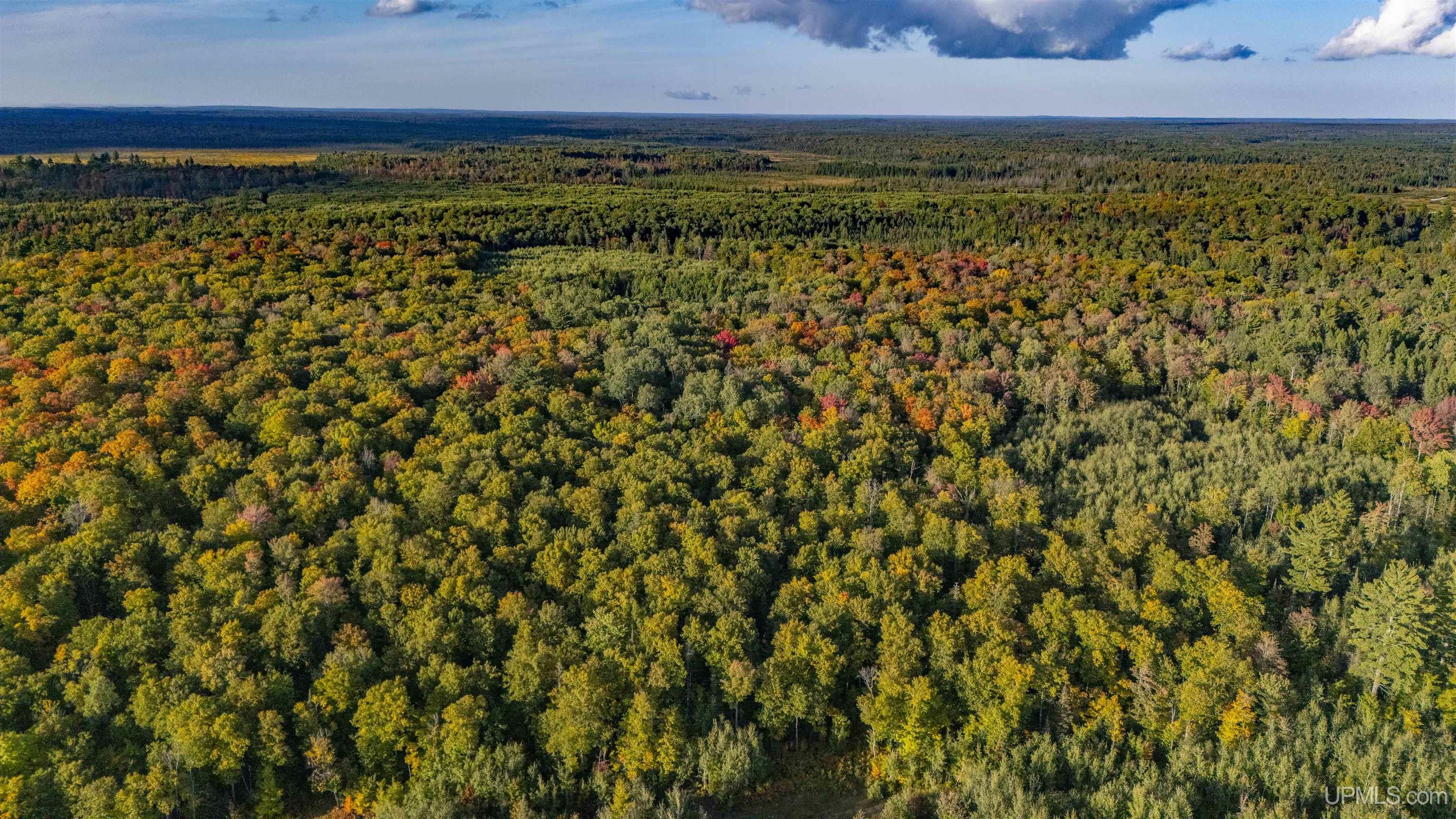 Tbd Luke Road Amasa, MI 49903 - Photo 36 of 64