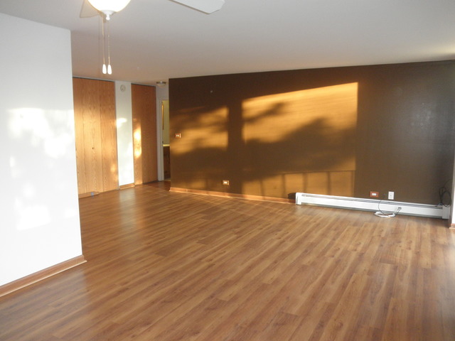 4731 St Joseph Creek Road, Unit 3G Lisle, IL 60532 - Photo 3 of 12 wooden floor in an empty room with a window
