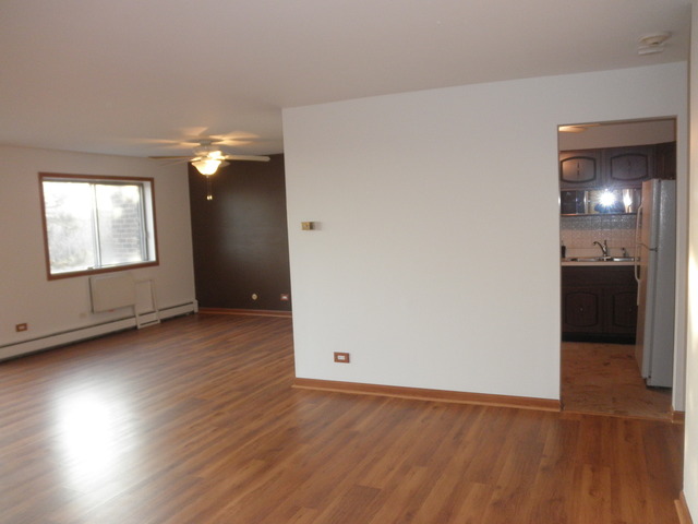 4731 St Joseph Creek Road, Unit 3G Lisle, IL 60532 - Photo 6 of 12 an empty room with wooden floor and windows
