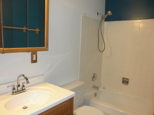 4731 St Joseph Creek Road, Unit 3G Lisle, IL 60532 - Photo 9 of 12 a bathroom with a sink toilet vanity and shower