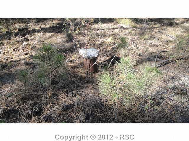 11745 Howells Road Colorado Springs, CO 80908 - Photo 2 of 7 well