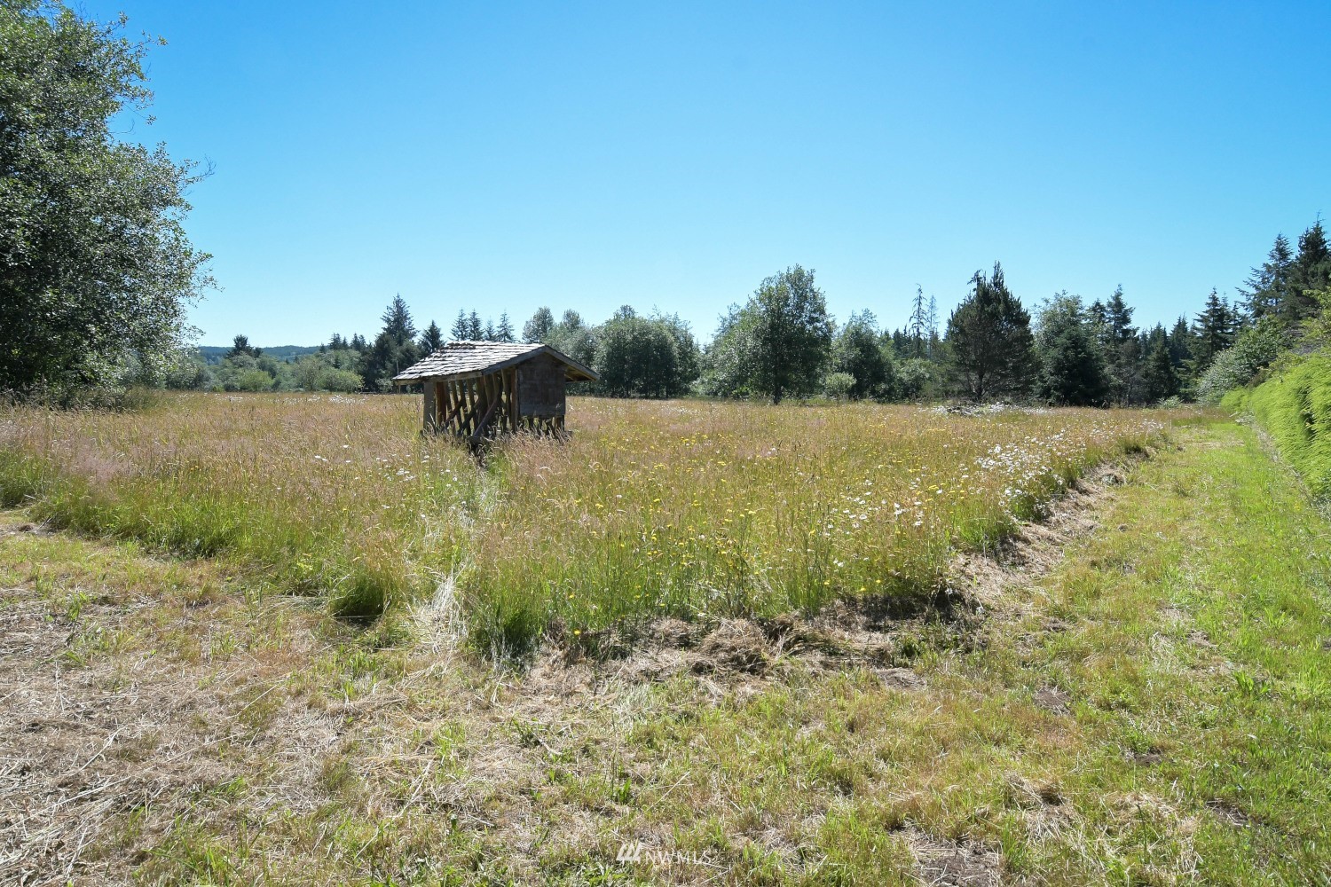 218 Geissler Road Montesano, WA 98563 - Photo 35 of 40 Gallery Image 35