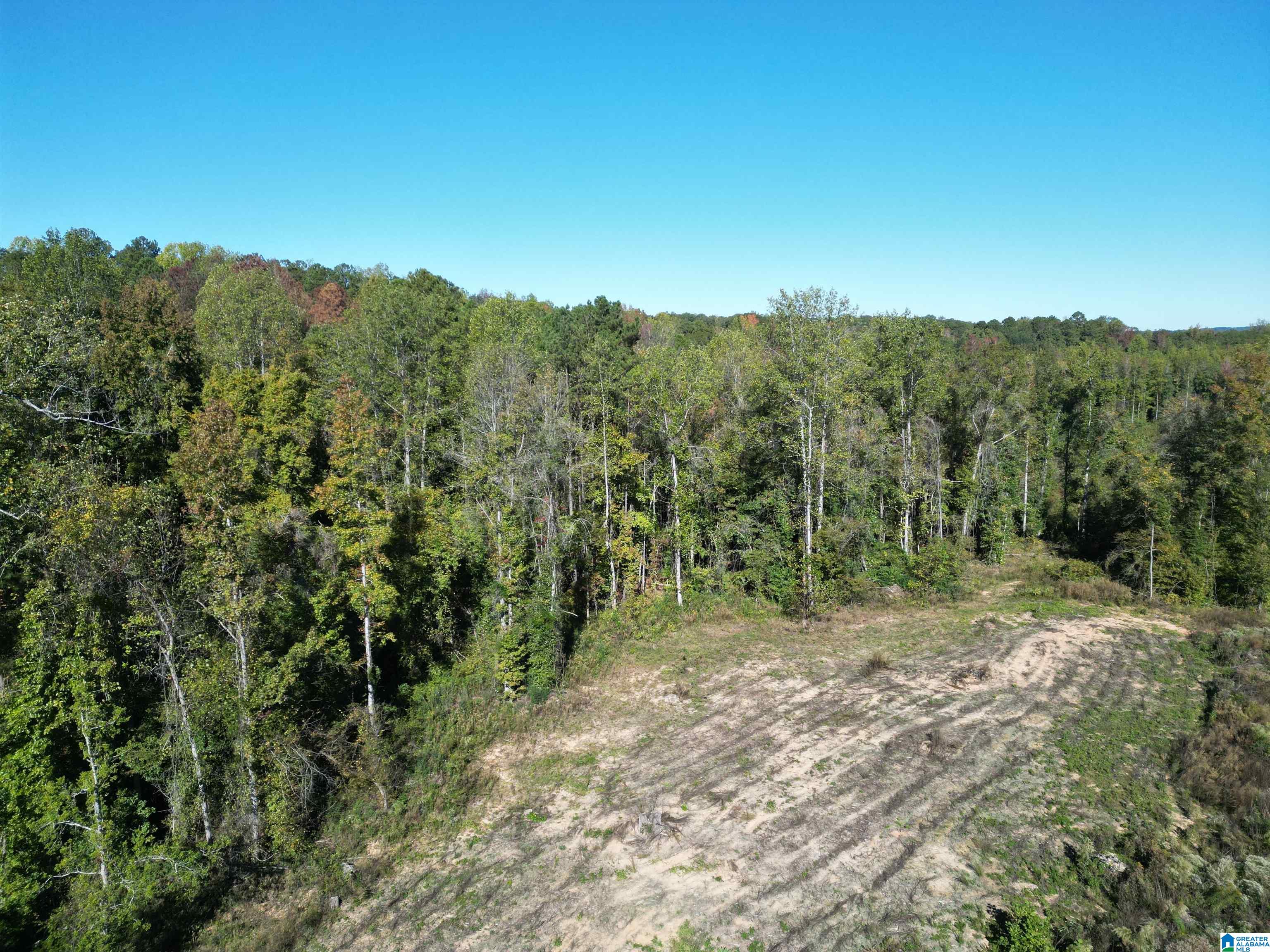 0 Payne Lk Road, Unit 1 Brent, AL 35034 - Photo 8 of 9