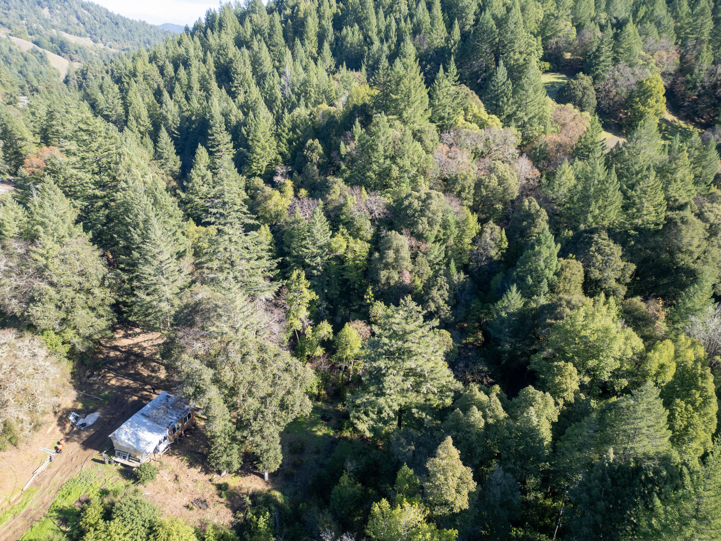 5200 Briceland Road Redway, CA 95560 - Photo 17 of 31