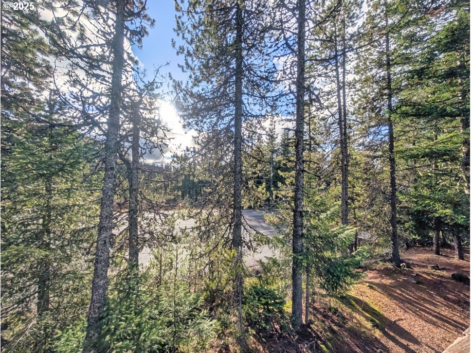 89255 Government Camp Loop Government Camp, OR 97028 - Photo 21 of 37 a view of a yard