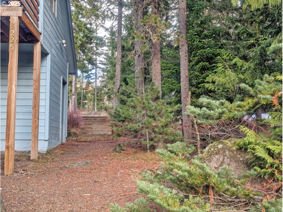 89255 Government Camp Loop Government Camp, OR 97028 - Photo 31 of 37 a view of a yard with plants and large trees
