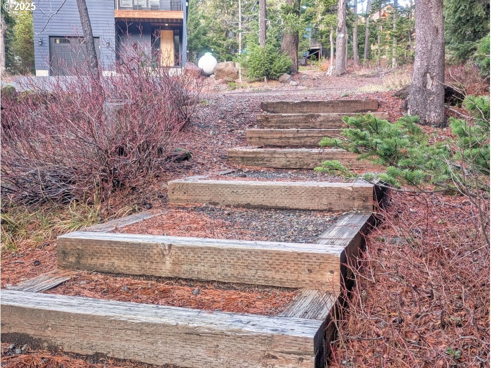 89255 Government Camp Loop Government Camp, OR 97028 - Photo 32 of 37 a view of a yard covered with trees