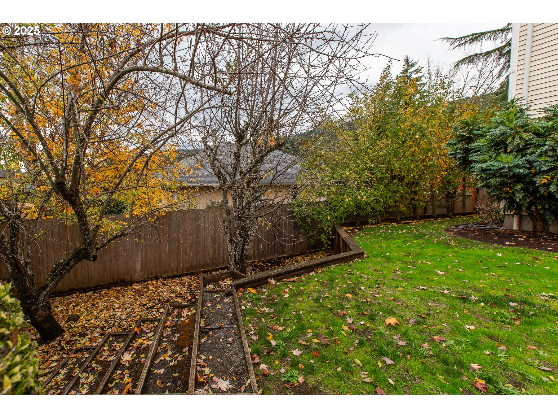 6964 Bluebelle Way Springfield, OR 97478 - Photo 32 of 35 a view of backyard with green space