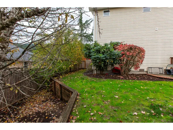 a view of a backyard