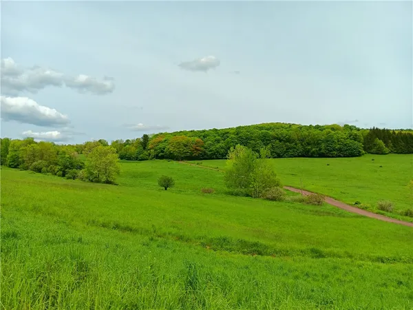 $100,000 | Lot 1 Kiff Brook Road, Kortright, NY 13739