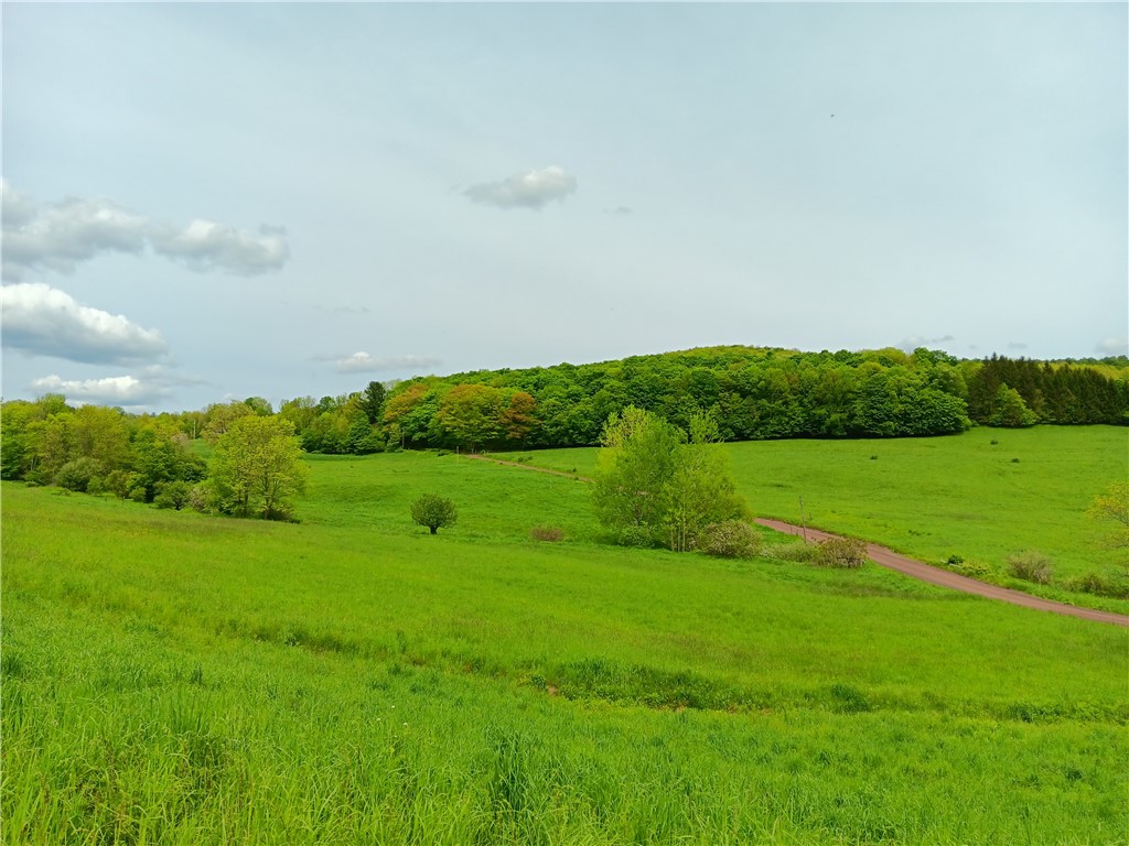 Lot 1 Kiff Brook Road Kortright, NY 13739 - Photo 2 of 5