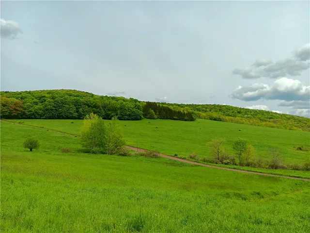 $100,000 | Lot 1 Kiff Brook Road, Kortright, NY 13739
