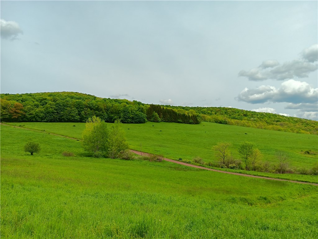 Lot 1 Kiff Brook Road Kortright, NY 13739 - Photo 3 of 5