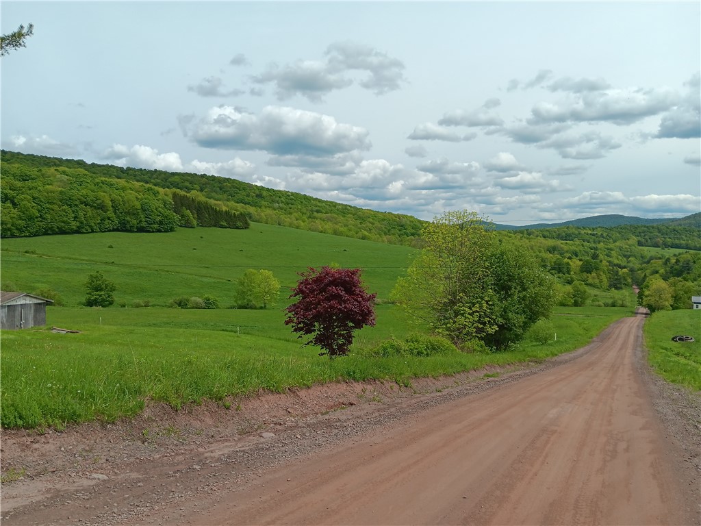 Lot 1 Kiff Brook Road Kortright, NY 13739 - Photo 4 of 5