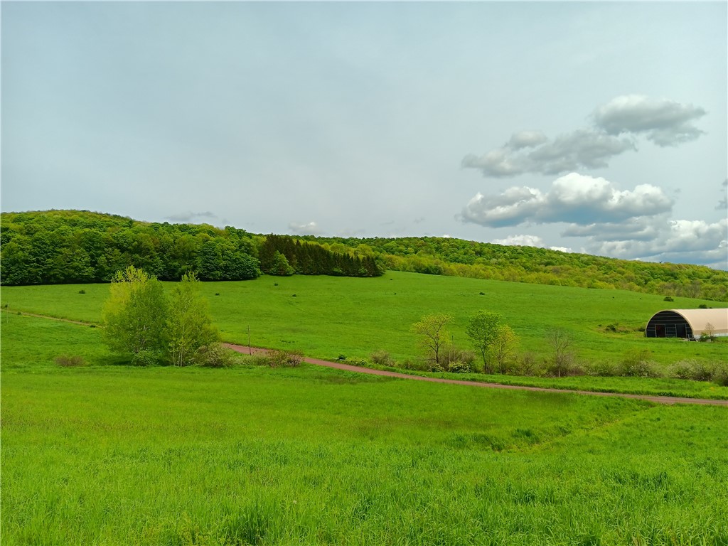 Lot 1 Kiff Brook Road Kortright, NY 13739 - Photo 5 of 5