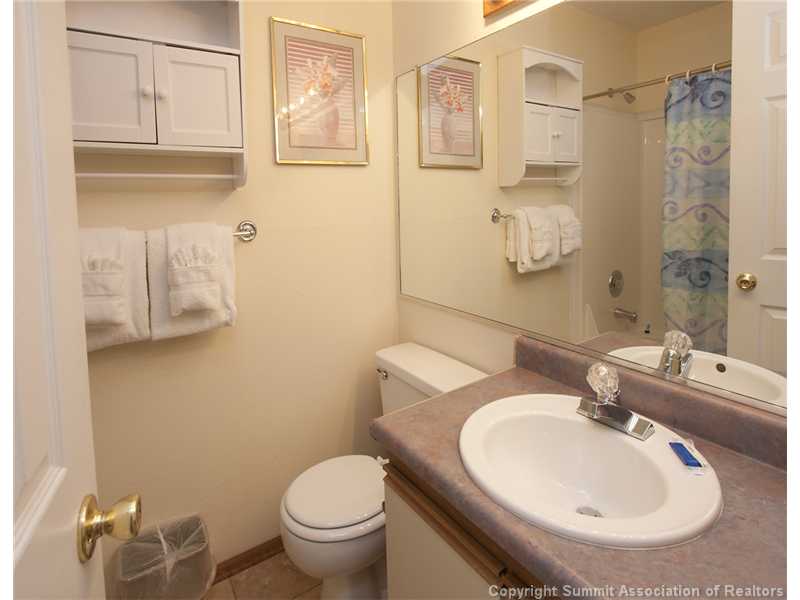 120 Sawmill Road, Unit 207 Breckenridge, CO 80424 - Photo 6 of 12 Bathroom.