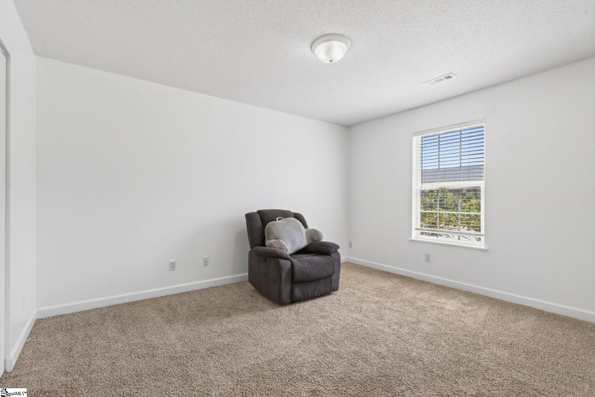 101 Perigon Court Greenville, SC 29607 - Photo 29 of 38