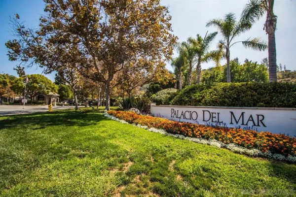 a view of a yard with a large trees