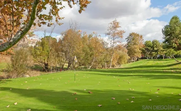 a view of a golf course with a trees