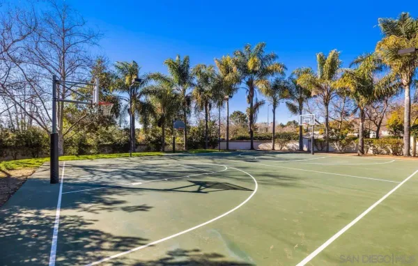 a view of a swimming pool with a lawn chairs under palm trees