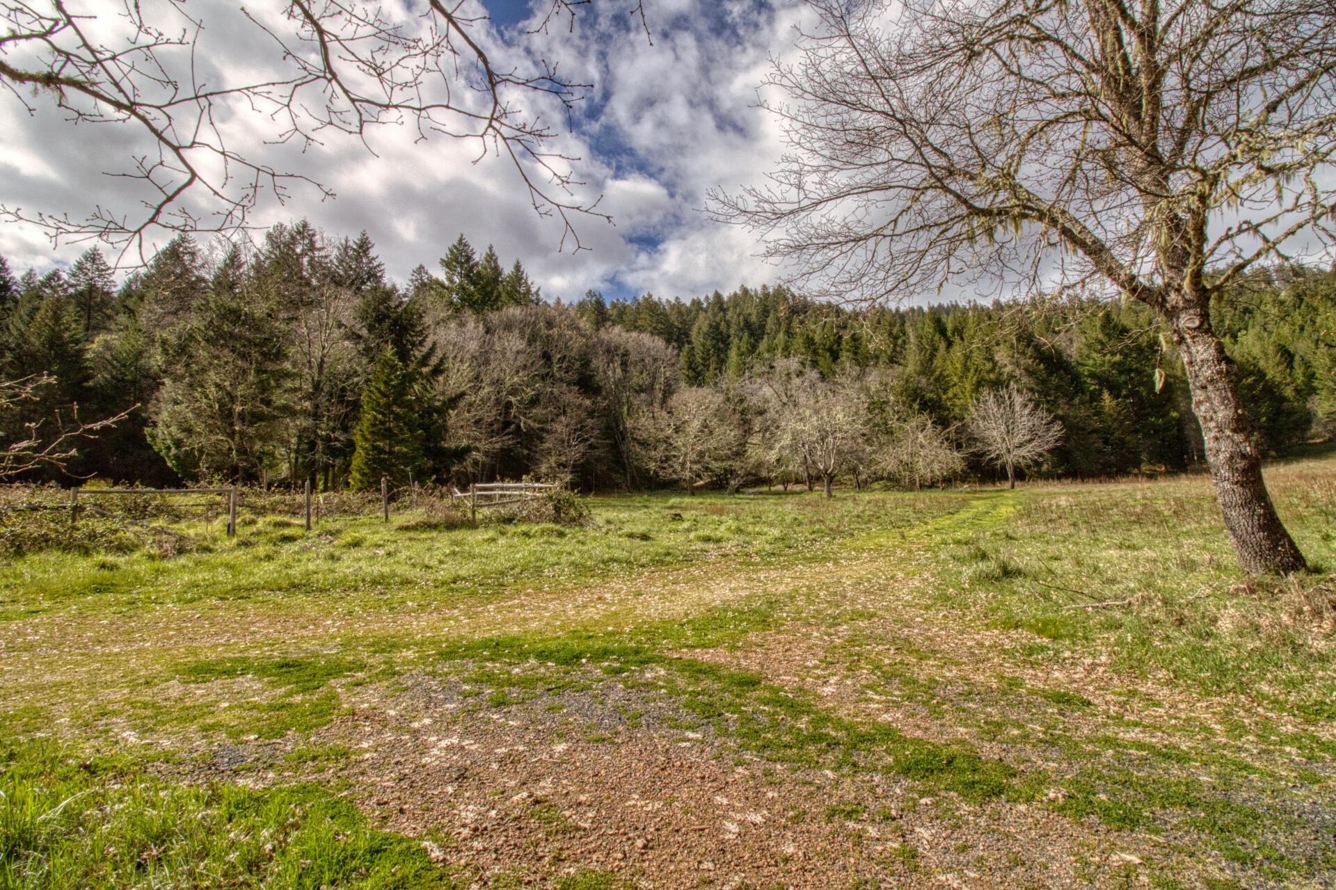 8564 Deer Creek Road Selma, OR 97538 - Photo 10 of 14 IMG_6205_hdr