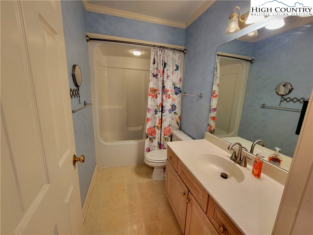 272 Maple Ridge Drive Boone, NC 28607 - Photo 24 of 41 a bathroom with a sink a toilet and shower