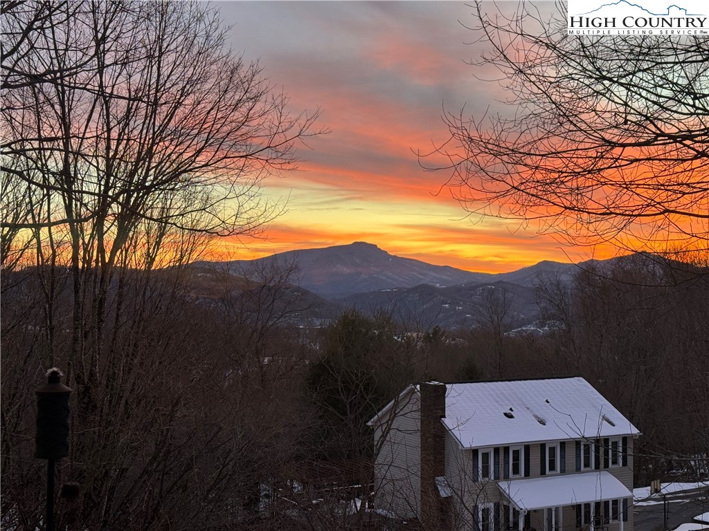 272 Maple Ridge Drive Boone, NC 28607 - Photo 39 of 41 a view of a big yard with potted plants and a large tree