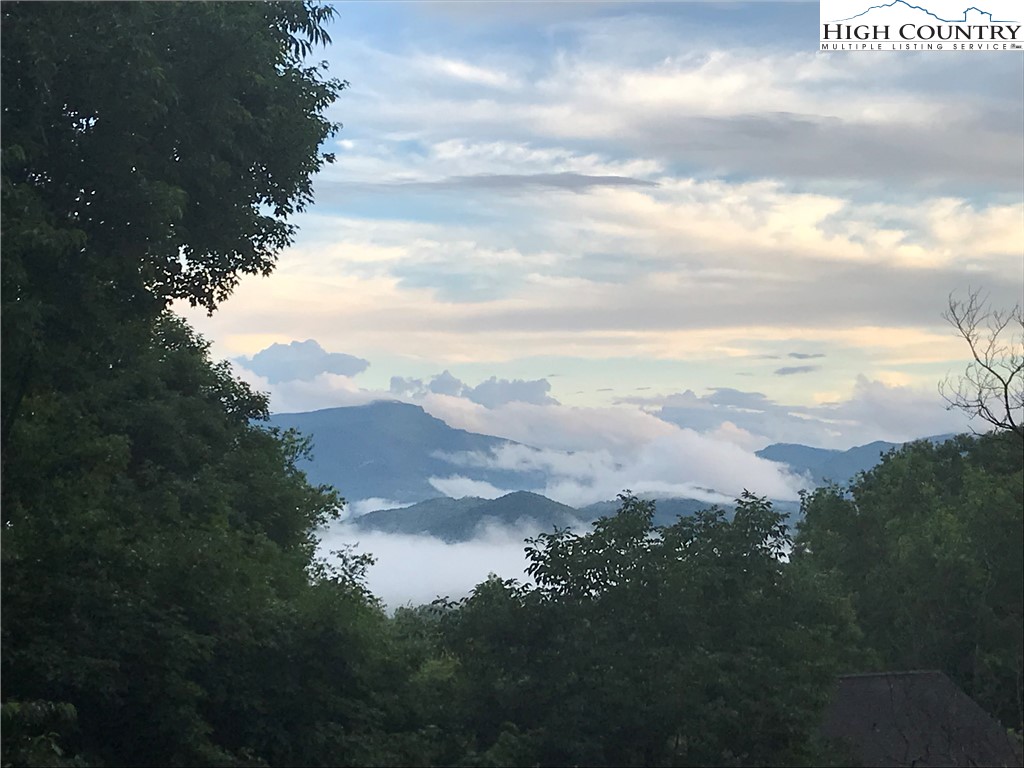 272 Maple Ridge Drive Boone, NC 28607 - Photo 40 of 41 a view of a yard